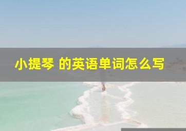 小提琴 的英语单词怎么写